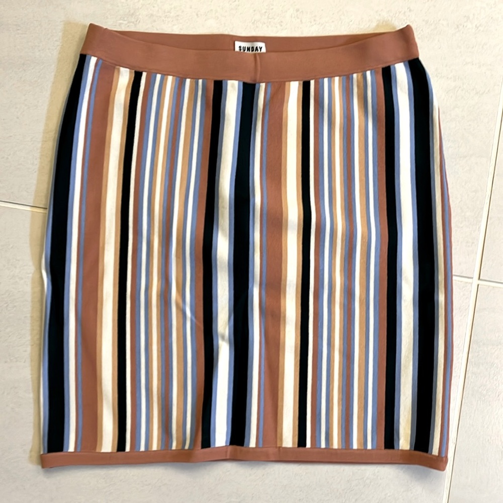 Aritzia Sunday Best stretch knit mini skirt.